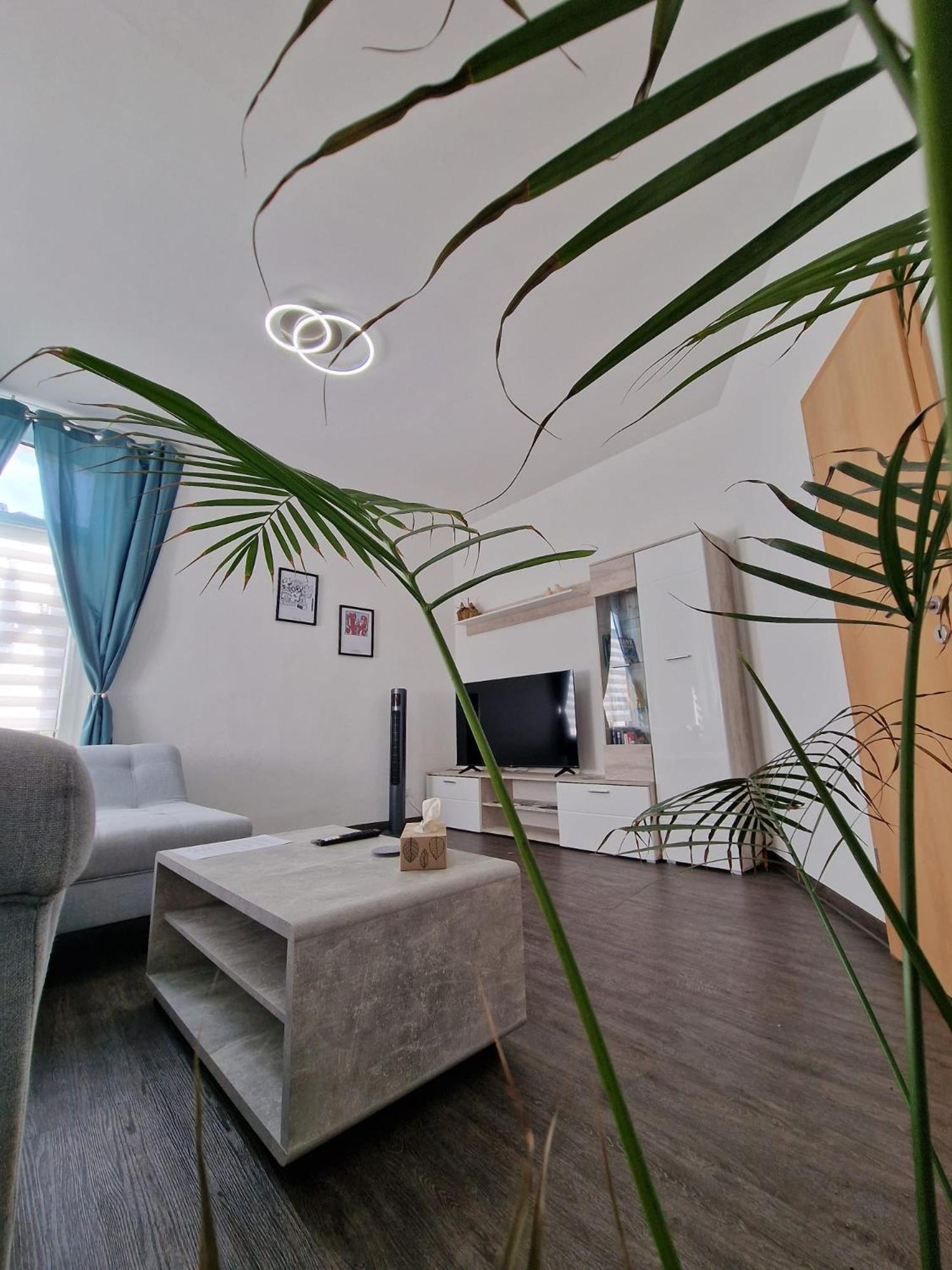 Ferienwohnung Mit Fitnessstudio Top1 Plauen Eksteriør bilde