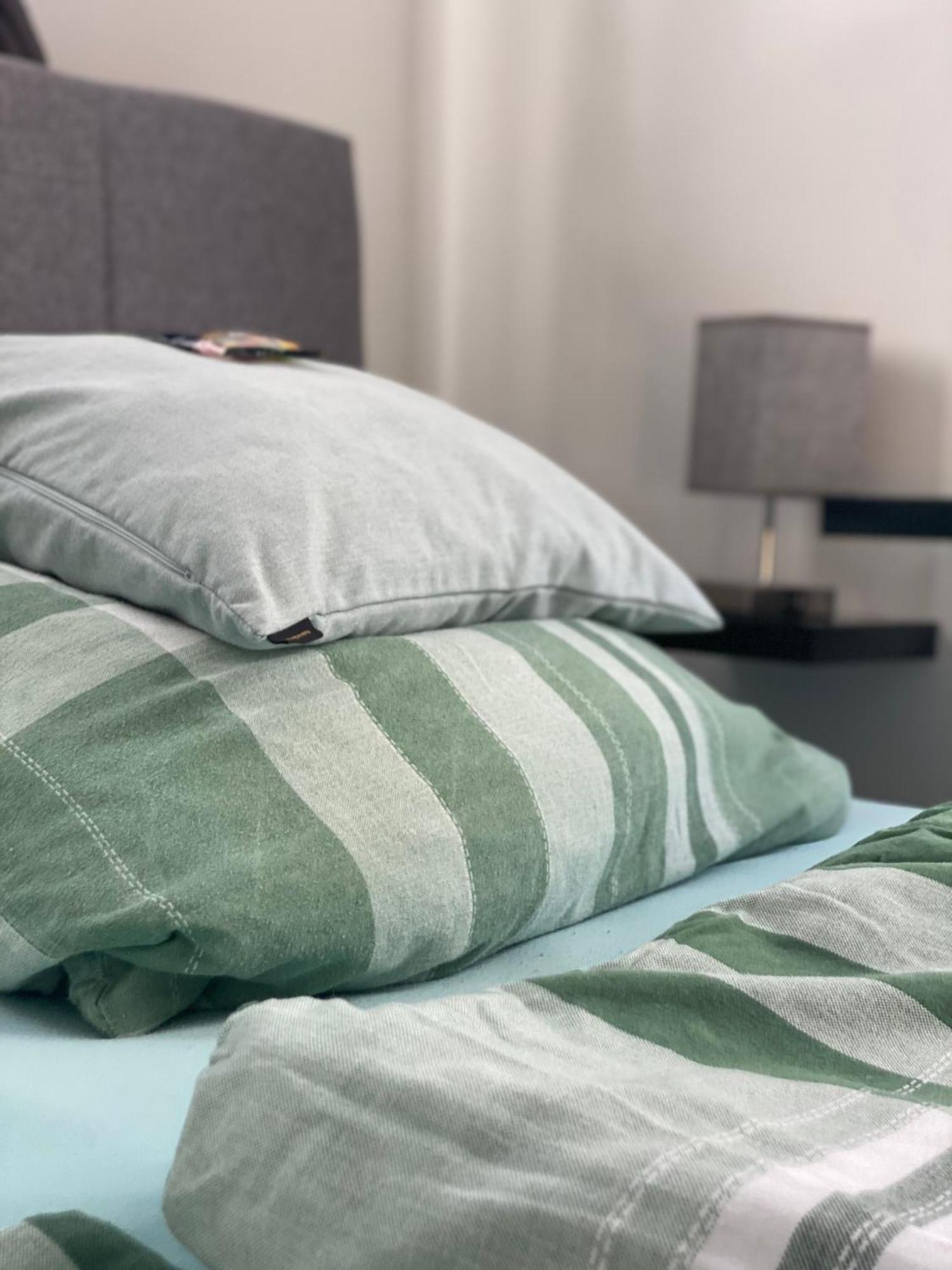 Ferienwohnung Mit Fitnessstudio Top1 Plauen Eksteriør bilde